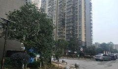 新宇星城爆料视频大全,揭秘项目亮点与真实情况